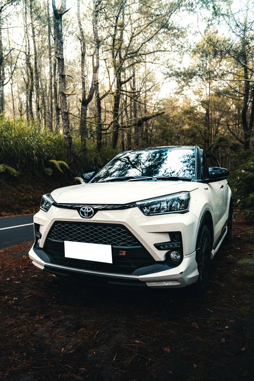 Toyota RAV4 Hybrid Is It Really Worth Buying?